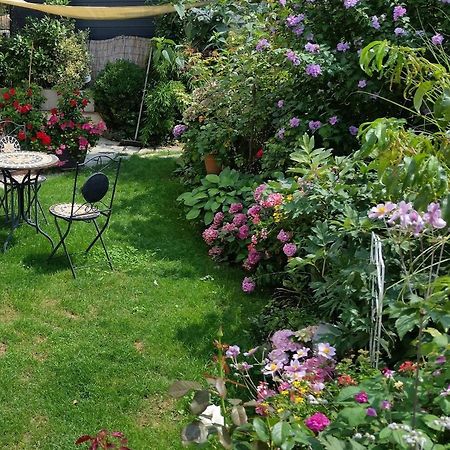 Ferienwohnung Am Berg, 35Qm Rickenbach  Ngoại thất bức ảnh