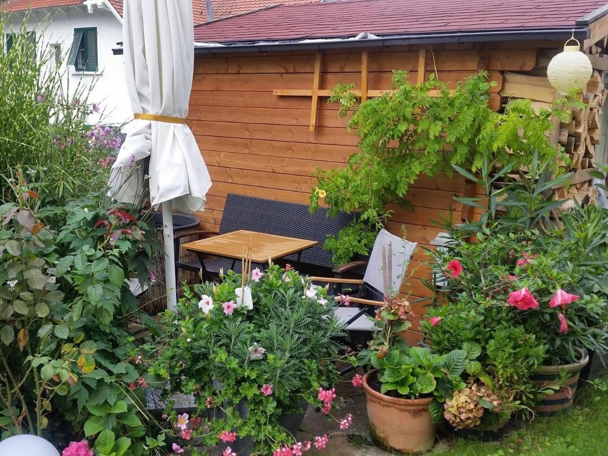 Ferienwohnung Am Berg, 35Qm Rickenbach  Ngoại thất bức ảnh